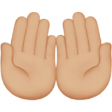 手掌向上:中等浅肤色emoji素材一 160x160像素