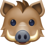 野猪emoji素材一 160x160像素