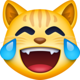 喜极而泣的猫emoji素材一 160x160像素
