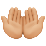 手掌向上:中等浅肤色emoji素材一 160x160像素