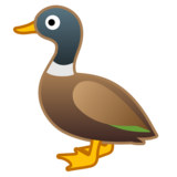 鸭子emoji素材一 160x160像素