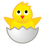 孵化的小鸡emoji素材一 160x160像素