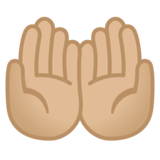 手掌向上:中等浅肤色emoji素材一 160x160像素