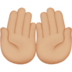 苹果系统里的手掌向上：中等浅肤色emoji表情