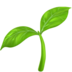 苹果系统里的苗木emoji表情