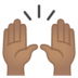 安卓系统里的举手:中等肤色emoji表情