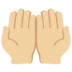 Twitter里的手掌向上：中等浅肤色emoji表情