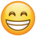WhatsApp里的笑容可掬的脸emoji表情
