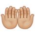 WhatsApp里的手掌向上：中等浅肤色emoji表情