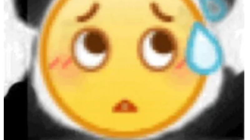 当熊猫头遇上小黄脸