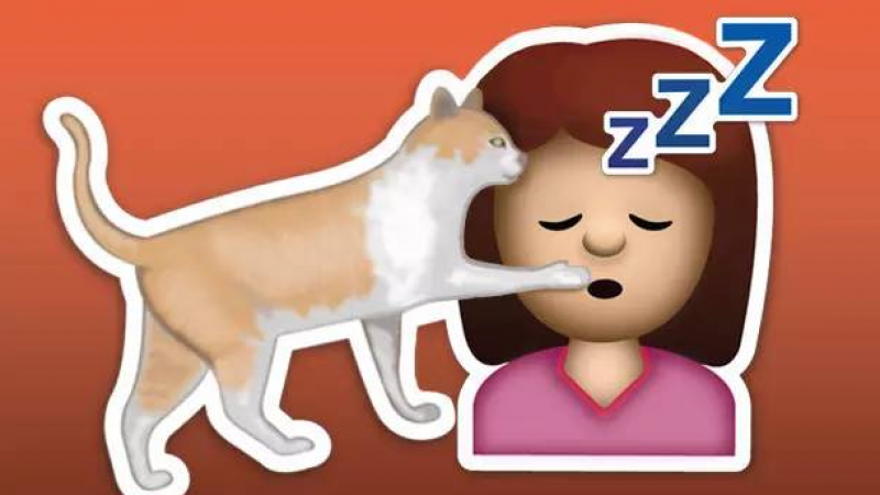17款猫奴必备Emoji，你值得拥有