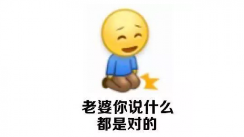 爱老婆表情包：老婆就是天，老婆就是我的一切缩略图