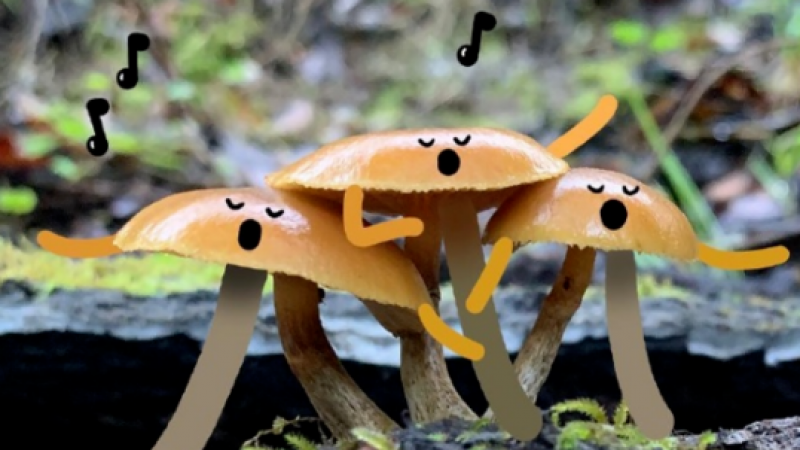 DIY | 当水果也拥有emoji后...