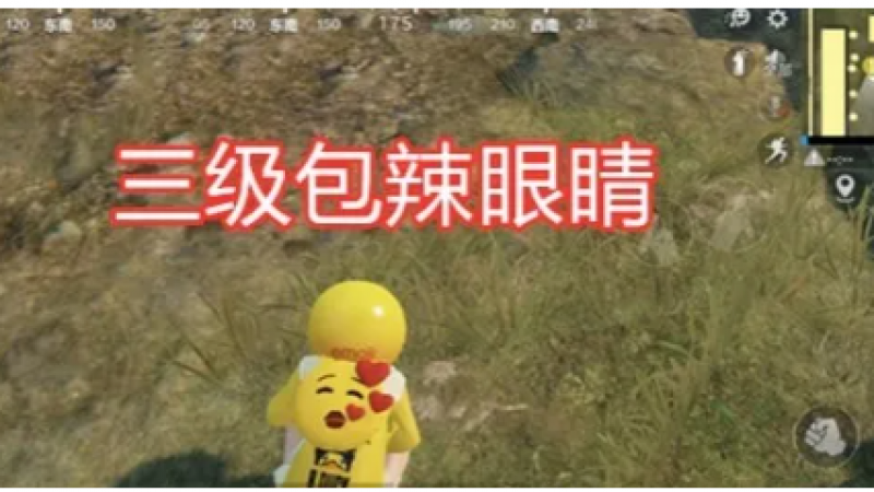 吃鸡：玩家用小黄鸭配Emoji，看到三级包后，网友：太辣眼！缩略图