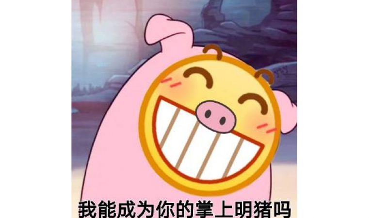 emoji表情包 |  我能成为你的掌上明猪吗？