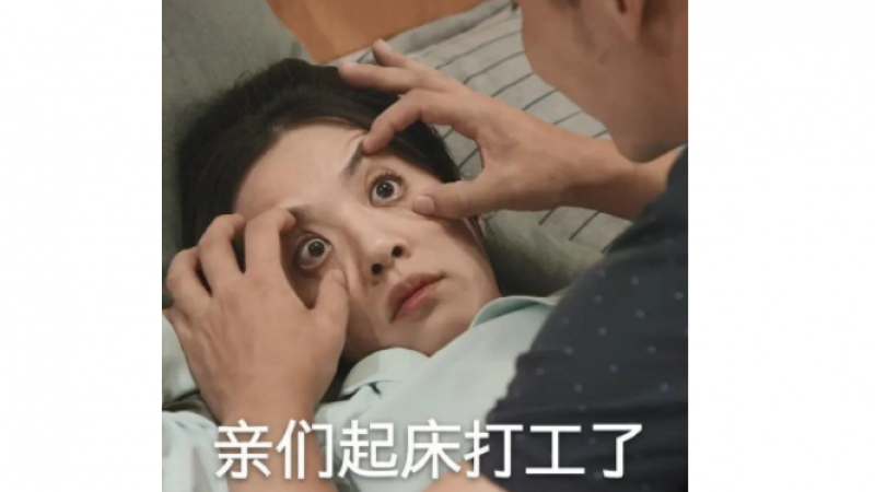 搞笑表情包 | 亲们起床打工啦