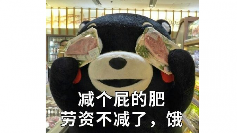 熊本熊表情包|减个屁的肥，劳资不减了，饿缩略图