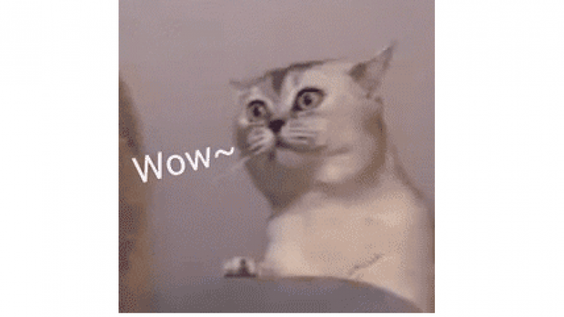 沙雕魔性小猫咪表情包