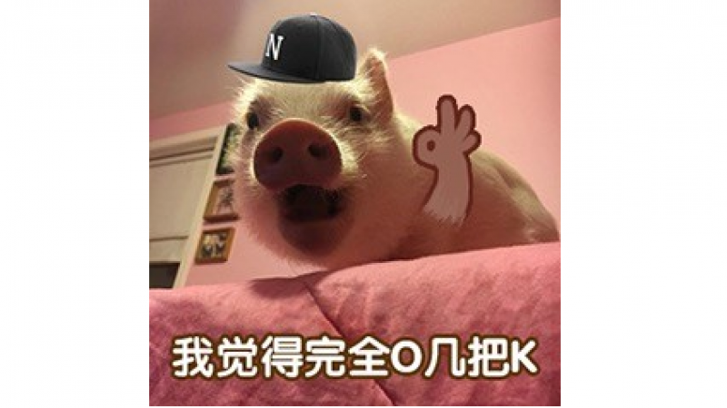 表情包：凡事都ojbk就对了 ​​​​缩略图