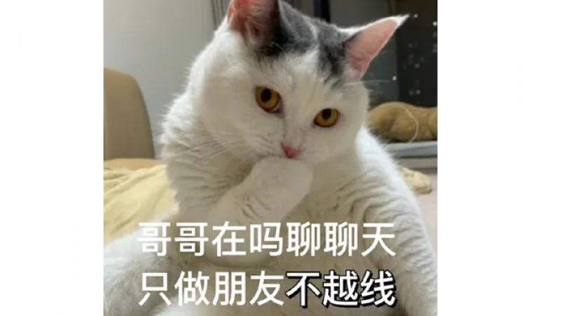 油腻猫咪表情包大全缩略图