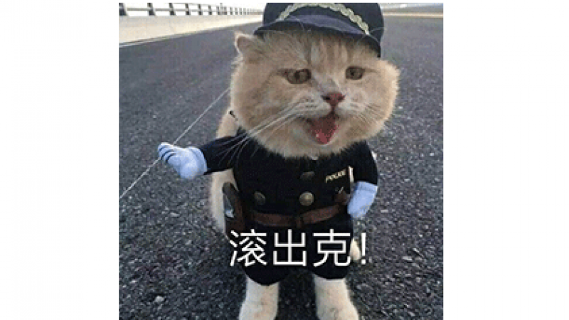 表情包 | 猫咪警官表情包缩略图