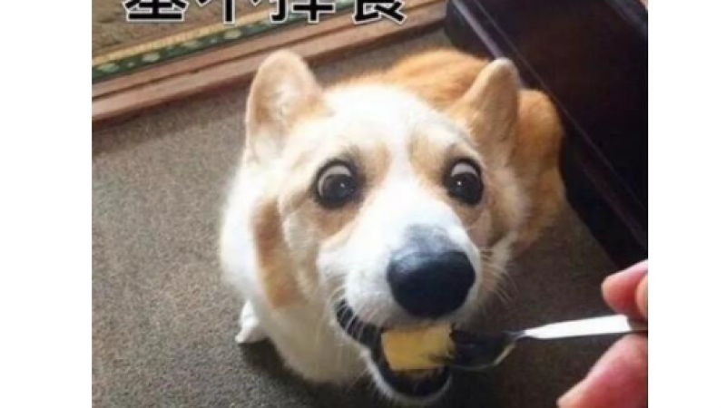 关于“基”的成语表情包，有趣[笑而不语] ​​​缩略图