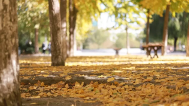 当emoji表情遇上河大建筑......缩略图