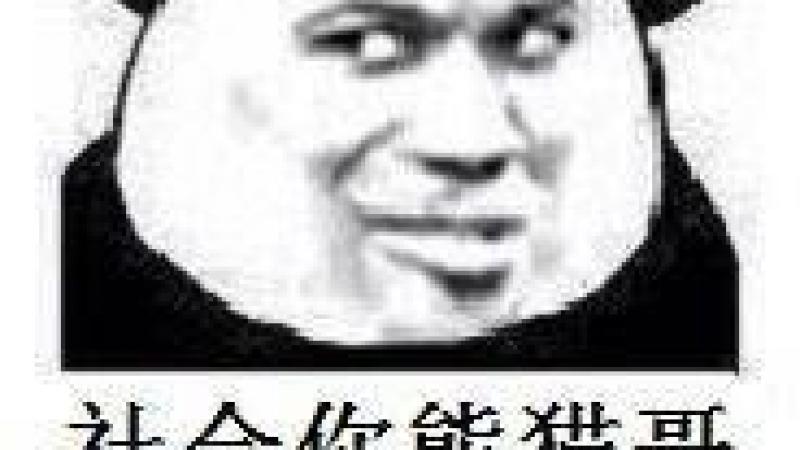 社会表情包是什么意思|社会表情包图片缩略图